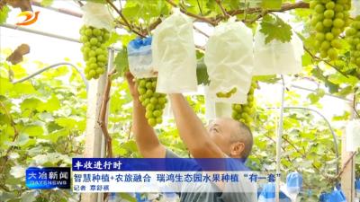 智慧种植+农旅融合 瑞鸿生态园水果种植“有一套”