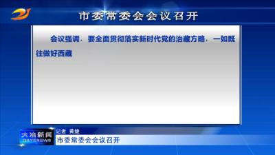 市委常委会会议召开