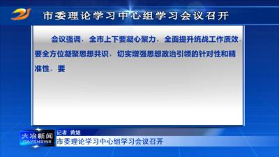 市委理论学习中心组学习会议召开