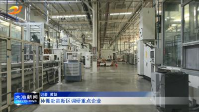 孙辄赴高新区调研重点企业