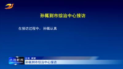 孙辄到市综治中心接访