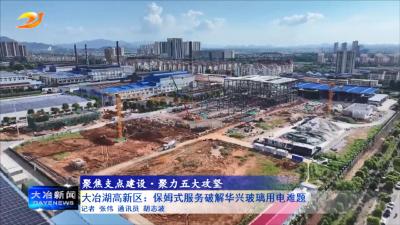 大冶湖高新区：保姆式服务破解华兴玻璃用电难题