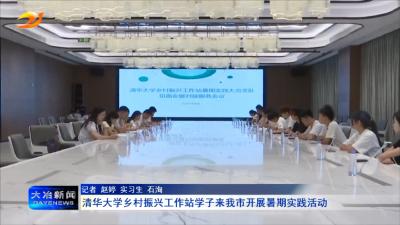 清华大学乡村振兴工作站学子来我市开展暑期实践活动