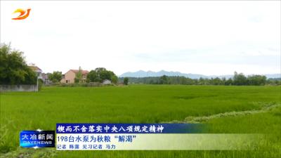 198台水泵为秋粮“解渴”