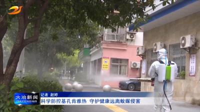 科学防控基孔肯雅热 守护健康远离蚊媒侵害