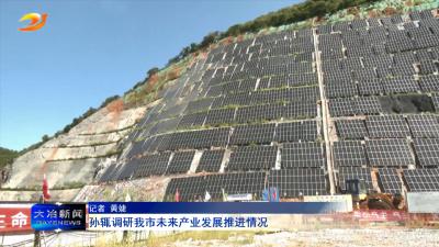 孙辄调研我市未来产业发展推进情况
