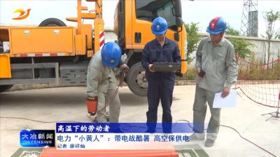 电力“小黄人”：带电战酷暑 高空保供电