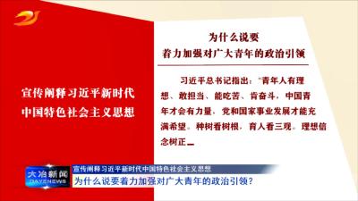 为什么说要着力加强对广大青年的政治引领？