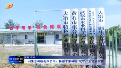 一洲生态种植有限公司：精耕水果种植 筑牢产业发展根基