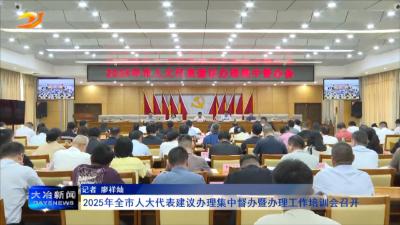 2025年全市人大代表建议办理集中督办暨办理工作培训会召开