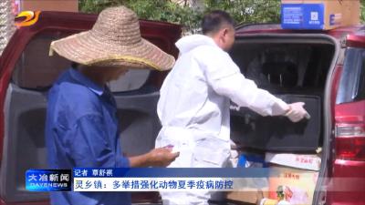 灵乡镇：多举措强化动物夏季疫病防控