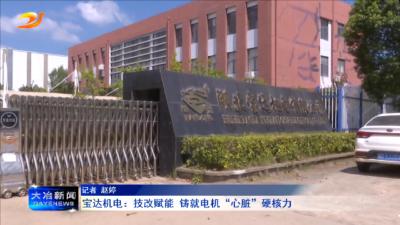 宝达机电：技改赋能 铸就电机“心脏”硬核力