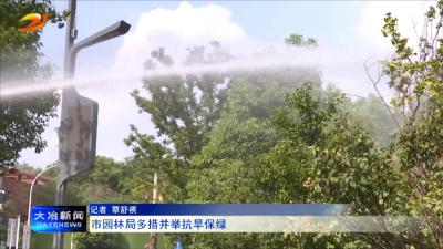 市园林局多措并举抗旱保绿