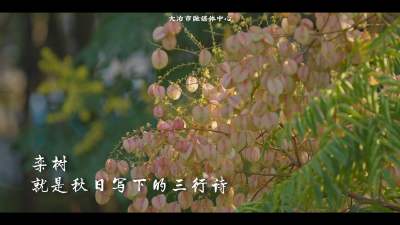 谁说大冶没有秋天？