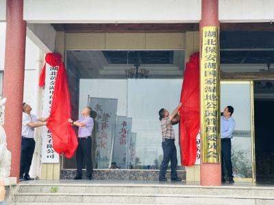 我市举办黄金湖甲鱼金秋消费季活动