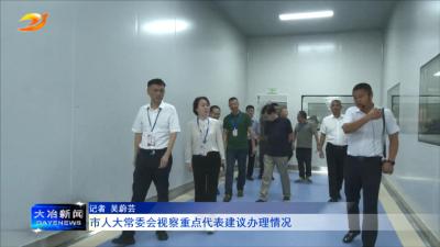 市人大常委会视察重点代表建议办理情况