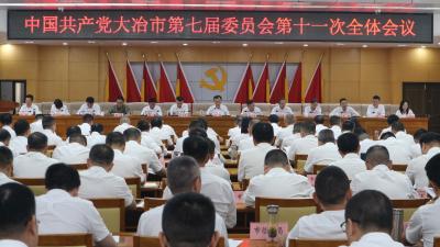 为担当者撑腰 让实干者前行——中共大冶市第七届委员会第十一次全体会议侧记