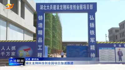 湖北龙翔科技创业园项目加速推进