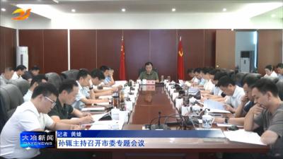孙辄主持召开市委专题会议