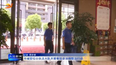 市城管综合执法大队开展餐饮业油烟整治行动