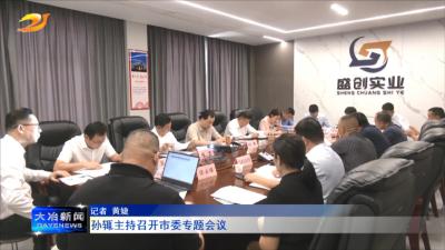 孙辄主持召开市委专题会议