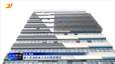 潘小进调研重点项目推进情况 