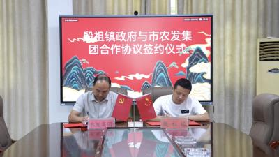 本土力量协同发力 共绘殷祖白茶发展新图景