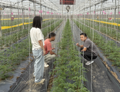 科学用收地膜加快农业绿色发展