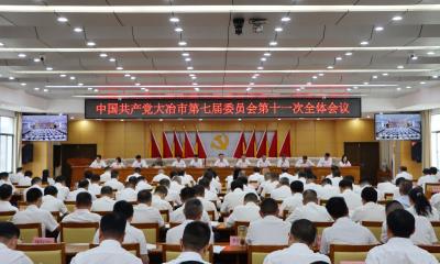 中共大冶市委七届十一次全体会议举行