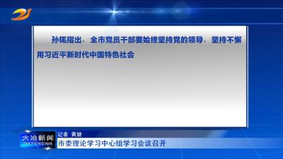 市委理论学习中心组学习会议召开