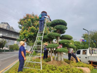 精细化作业筑牢城市“绿色屏障”