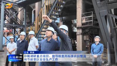 孙辄调研重点项目、督导检查高标准农田整治和节前景区安全生产工作
