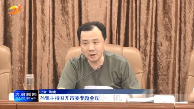 
孙辄主持召开市委专题会议