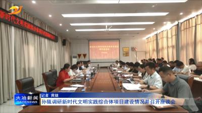 孙辄调研新时代文明实践综合体项目建设情况并召开座谈会