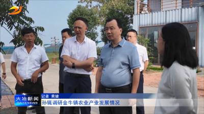 孙辄调研金牛镇农业产业发展情况