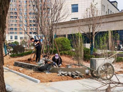 腾龙大道口袋公园即将建成开放