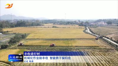 机械化作业助丰收 智能烘干保归仓