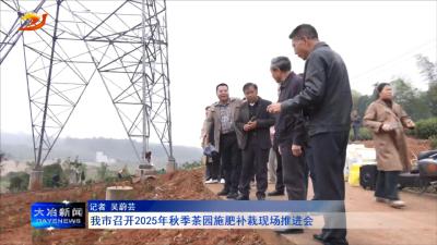 我市召开2025年秋季茶园施肥补栽现场推进会