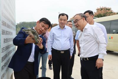 阳新县党政代表团来我市开展乡村振兴区域协作工作 加强交流共享经验 携手推动两地乡村振兴