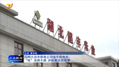 国网大冶市供电公司金牛供电所：“电”亮烘干路 护航粮企抢收季