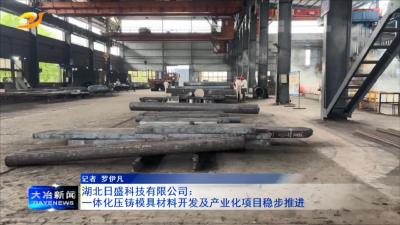 湖北日盛科技有限公司：一体化压铸模具材料开发及产业化项目稳步推进