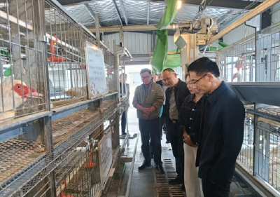 我市赴阳新“取经”屯鸟全产业链 助黄金湖甲鱼“链”上突围