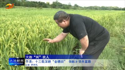 李清：十三载深耕“金穗田” 领航乡邻共富路