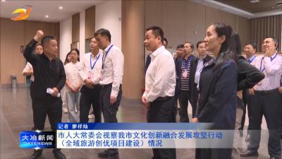 市人大常委会视察我市文化创新融合发展攻坚行动（全域旅游创优项目建设）情况
