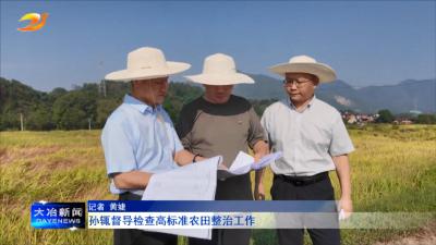 孙辄督导检查高标准农田整治工作