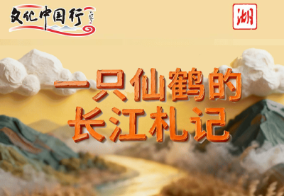 文化中国行｜一只仙鹤的长江札记：从稻浪到星河，见证八千年文明回响