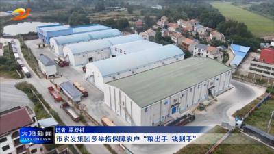 市农发集团多举措保障农户“粮出手 钱到手”