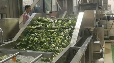 【聚焦支点建设·聚力五大攻坚 城乡融合】“全程监控+深加工” 一座现代加工厂带活全市果蔬产业