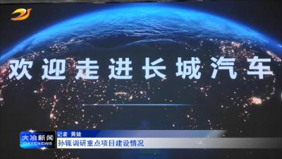 孙辄调研重点项目建设情况