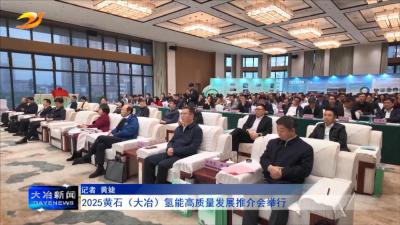 2025黄石（大冶）氢能高质量发展推介会举行